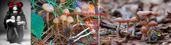 хмурый Коряжма